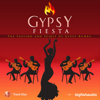 Gypsy Fiesta product image