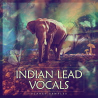 Indian Lead Vocals product image