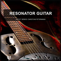 Resonator Guitar 1 product image