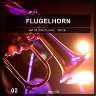 Flugelhorn 2 product image