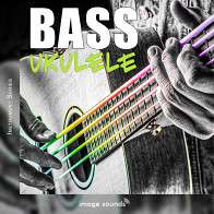 Bass Ukulele 1 product image