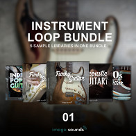 Image Sounds Guitar Bundle product image