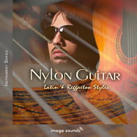 Nylon Guitar - Latin and Reggaeton Styles product image