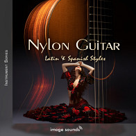 Nylon Guitar - Latin & Spanish Styles product image