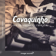 Cavaquinho - South American Ukulele World/Ethnic Loops