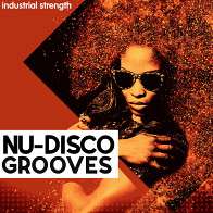 Nu-Disco Grooves product image