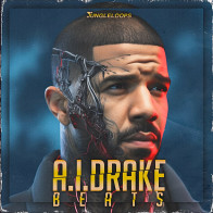 AI Drake Beats product image