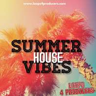 Summer House Vibes product image