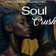 Soul Crush product image
