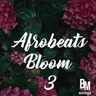 Afrobeats Bloom 3 product image