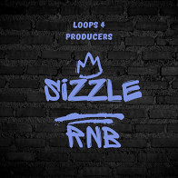 Sizzle RnB product image
