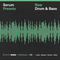 Raw Drum & Bass - Serum Presets product image