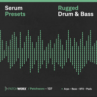 Rugged Drum & Bass - Serum Presets product image