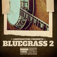 VIBES 16 - Bluegrass Vol 2 product image