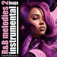 RnB Melodies 2: Instrumental Loops product image