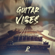 Guitar Vibes product image