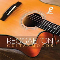 Reggaeton Guitar Moods product image