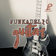 Funkadelic Guitar product image