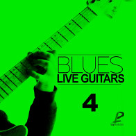 Blues Live Guitars 4 product image