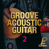Groove Acoustic Guitar 2 product image