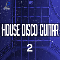 House Disco Guitar 2 product image