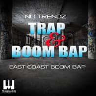 Nu Trendz Trap & Boom Bap product image