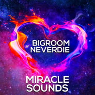 Bigroom Neverdie product image