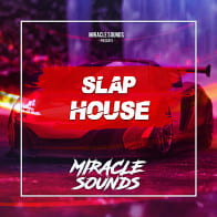 Slap House product image