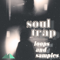 Soul Trap - Loops & Samples product image