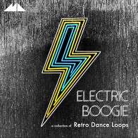 Electric Boogie product image
