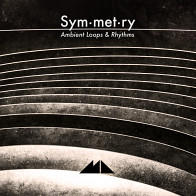 Symmetry Ambient Loops