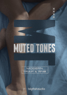 Muted Tones: Modern Trap & RnB product image