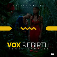 Vox Rebirth product image