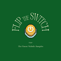 Flip The Switch product image