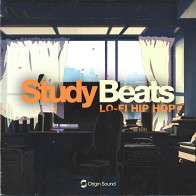 Study Beats - Lofi Hip Hop product image