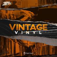 Vintage Vinyl - Oldschool Hip Hop product image
