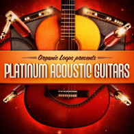 Platinum Acoustic Guitars product image