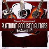 Platinum Acoustic Guitars 2 product image