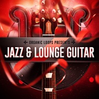 Jazz & Lounge Guitar product image