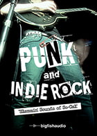 Punk & Indie Rock: Slammin Sounds of So-Cal product image