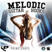 Melodic Guitar Hooks product image