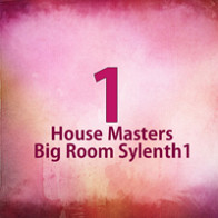 House Masters Big Room Sylenth1 product image