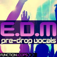 EDM Pre-Drop Vocals product image