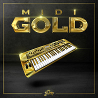 MIDI Gold product image
