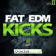 Fat Edm Kicks Vol 2 product image