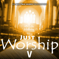 Just Worship 5 product image