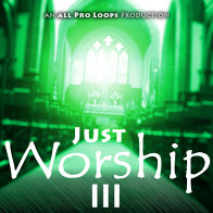Just Worship 3 product image