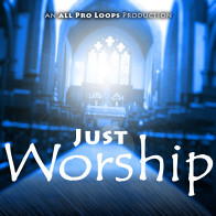 Just Worship product image