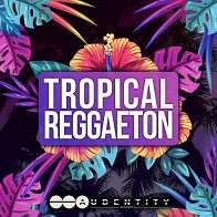 Tropical Reggaeton Vol 1 product image