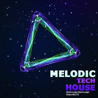 Big Sounds: Melodic Tech House product image